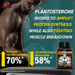 PLANTOSTERONE - Muscle Building & Testo-Boosting Ayurvedic Supplement | Helps Gain Muscle Size & Strength, with Increase in Sexual Drive | 100% Natural