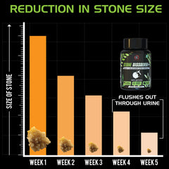 STONE DISSOLVER+ Ayurvedic Stone Remover Supplement | Relieves Pain, Breaks All Types Of Stones, Fast Acting | 100% Natural