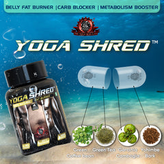 YOGA SHRED - Ayurvedic Fat Burner | Helps Loose Weight & Body Fat while Boosting Energy | 100% Natural